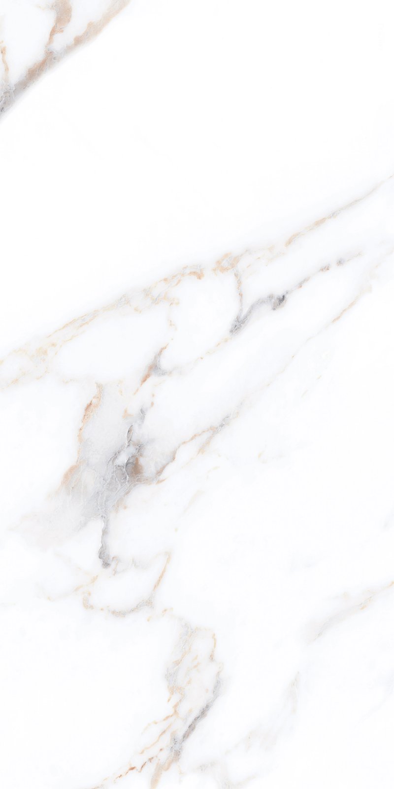 PLATINUM 30X60 TRENTO GREY REC